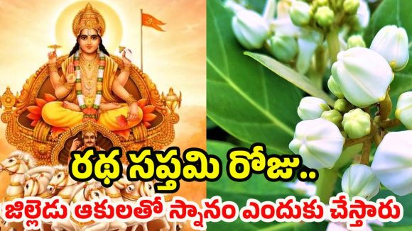 Ratha Saptami 2026: రథ సప్తమి నాడు జిల్లేడు ఆకుల స్నానం ఎందుకు చేస్తారు ?