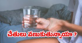 Hand Tremors: చలికాలంలో చేతుల వణుకు.. ఇది కేవలం చలి వల్లేనా ? లేక అనారోగ్యమా ?