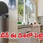 Dustbin Vastu Tips: ఇంట్లో సమస్యలు పెరుగుతున్నాయా ? అయితే మీ డస్ట్ బిన్ దిశను ఒక్కసారి గమనించండి