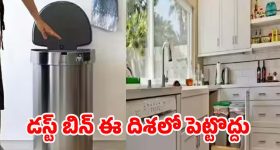 Pradeep Ranganathan: మళ్లీ డైరెక్టర్ గా మారిన ప్రదీప్ రంగనాథన్..ఏకంగా స్టార్ హీరోయిన్ తో సినిమా?