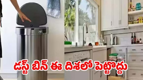 Dustbin Vastu Tips: ఇంట్లో సమస్యలు పెరుగుతున్నాయా ? అయితే మీ డస్ట్ బిన్ దిశను ఒక్కసారి గమనించండి