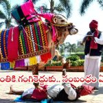 Sankranthi 2026: మీకు తెలియని సంక్రాంతి రహస్యం.. హరిదాసులు, గంగిరెద్దుల వెనక ఉన్న అసలు కథ !