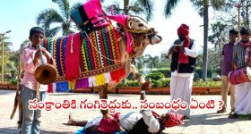 Sankranthi 2026: మీకు తెలియని సంక్రాంతి రహస్యం.. హరిదాసులు, గంగిరెద్దుల వెనక ఉన్న అసలు కథ !