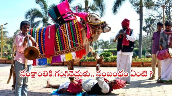 Sankranthi 2026: మీకు తెలియని సంక్రాంతి రహస్యం.. హరిదాసులు, గంగిరెద్దుల వెనక ఉన్న అసలు కథ !