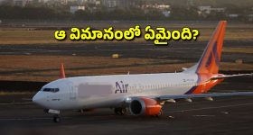 Akasha Air: వామ్మో, ఆ విమానం ఎక్కిన మహిళ.. నడవలేక అవస్థలు, కాళ్లు కుళ్లిపోయి..