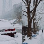 America Snow Storm: అమెరికాలో మంచు తుపాను బీభత్సం.. 8 వేలకు పైగా విమానాలు రద్దు