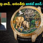 Anant Ambani Vantara Watch: రూ.12 కోట్లు.. 400 రత్నాలు.. వంతారా థీమ్‌తో అనంత్ అంబానీ కోసం అరుదైన వాచ్!