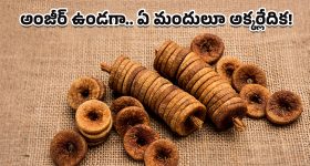 IAS Officer Wife: ఐఏఎస్ అధికారి భార్య అనుమానాస్పద మృతి.. కేసు నమోదు