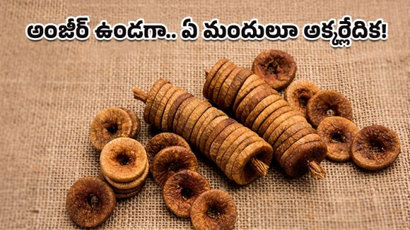 Anjeer Health Benefits: శీతాకాలంలో ఇమ్యూనిటీకి అంజీర్ వరం.. డైట్‌లో చేర్చుకుంటే శరీరంలో జరిగే మార్పులివే!