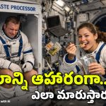 Astronauts Food: వ్యోమగాములు.. తమ మలాన్నే ఆహారంగా తింటారా?