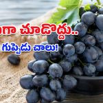 Benefits of Grapes: ఔషధాల కంటే మిన్నగా పనిచేసే ద్రాక్షపండ్లు.. గుండె నుంచి మెదడు వరకు ఫుల్ బెనిఫిట్స్!
