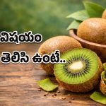 Benefits of Kiwi Peel: కివీ పండు తొక్కలో ఇంత ఆరోగ్యం దాగుందా? వామ్మో.. ఈ విషయం తెలియక ఇన్నిరోజులూ పడేశాం కదరా!