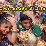 Bhogi Pallu: పిల్లలపై భోగి పళ్లు ఎందుకు పోస్తారు? ఈ ఆచారం వెనుక ఉన్న ఆంతర్యం ఏమిటి?