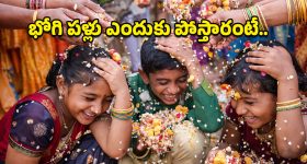Bhogi Pallu: పిల్లలపై భోగి పళ్లు ఎందుకు పోస్తారు? ఈ ఆచారం వెనుక ఉన్న ఆంతర్యం ఏమిటి?
