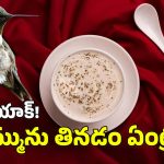 Bird Saliva Soup: ఈ పక్షి ఉమ్ము ఖరీదు రూ.10 లక్షలకు పైనే.. లొట్టలేసుకుని మరీ తింటున్నారు!