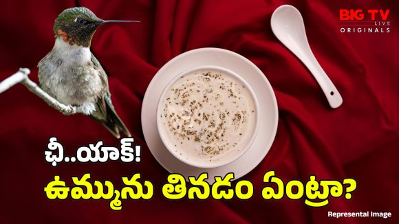 Bird Saliva Soup: ఈ పక్షి ఉమ్ము ఖరీదు రూ.10 లక్షలకు పైనే.. లొట్టలేసుకుని మరీ తింటున్నారు!