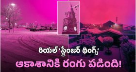 Hundi Robbery: వెంకటేశ్వర స్వామి ఆలయంలో భారీ చోరీ.. బంగారం, వెండి..