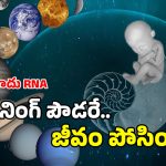 Life On Earth: భూమిపై జీవులు ఇలా ఏర్పడ్డాయా? మార్స్ మీద కూడా అవే జాడలు.. ఆ రాళ్ల నుంచే ప్రాణం?