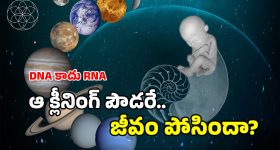 Life On Earth: భూమిపై జీవులు ఇలా ఏర్పడ్డాయా? మార్స్ మీద కూడా అవే జాడలు.. ఆ రాళ్ల నుంచే ప్రాణం?