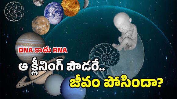 Life On Earth: భూమిపై జీవులు ఇలా ఏర్పడ్డాయా? మార్స్ మీద కూడా అవే జాడలు.. ఆ రాళ్ల నుంచే ప్రాణం?