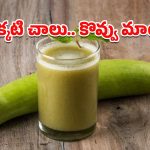 Weight Loss: సొరకాయ రసంతో నాజూకైన నడుము సొంతం.. ఈ విధానంలో తాగారంటే పొట్ట వెన్నెలా కరిగిపోవాల్సిందే!