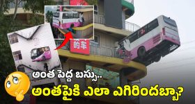 Visakhapatnam News: మహిళల రక్షణే మా ప్రాధాన్యత.. విశాఖ పోలీసుల పనితీరుపై సీఎం చంద్రబాబు ప్రశంసలు