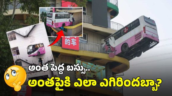 Bus in Wall: బిల్డింగ్‌పై వేలాడుతోన్న బస్సు.. కంగారు పడొద్దు, ఆ డిజైనే అంత!