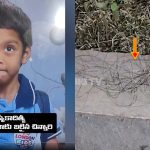 CP Sajjanar: నా గుండె తరుక్కుపోతుంది.. ఆ ఐదేళ్ల చిన్నారి చేసిన నేరమేంటి?: సీపీ సజ్జనార్