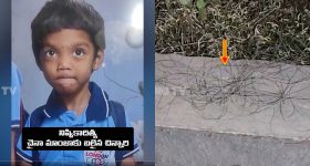 Akira Nandan: ఢిల్లీ హైకోర్టులో అకీరాకు ఊరట.. వెంటనే తొలగించాలంటూ ఉత్తర్వులు!