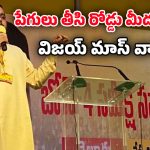 Chintakayala Vijay: పేగులు తీసి రోడ్డు మీద పడేస్తా.. సొంత క్యాడర్‌కు చింతకాయల విజయ్ మాస్ వార్నింగ్!