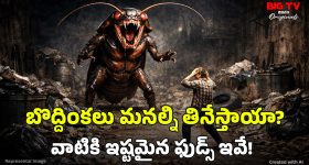 Chamala Kiran Kumar Reddy: కేసీఆర్ కుటుంబంలో పంపకాల పంచాయతీ.. ఎంపీ చామల కిరణ్ ఘాటు వ్యాఖ్యలు!