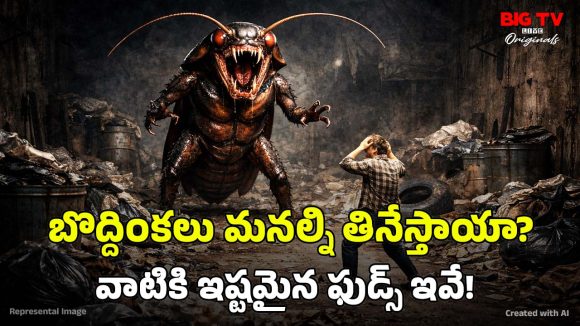 Cockroaches Food: బొద్దింకలు మనుషులను తింటాయా? వాటికి ఏయే శరీర భాగాలు ఇష్టమంటే?