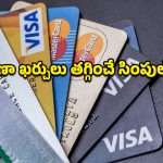 Credit Cards: ఇంత సింపుల్ లాజిక్ ఎలా మిస్సయ్యారబ్బా? క్రెడిట్‌ కార్డులతో కిరాణా బిల్లులను తగ్గించుకోండిలా..
