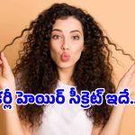 Curly Hair Care Tips: మీ రింగుల జుట్టును చూసి అందరూ కుళ్లుకోవాలా? అయితే ఈ సీక్రెట్స్ మీ కోసమే!