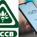 DCCB UPI Services: సహకార బ్యాంకు ఖాతాదారులకు గుడ్ న్యూస్.. యూపీఐ సేవలు అందుబాటులోకి