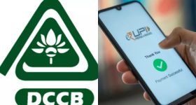 DCCB UPI Services: సహకార బ్యాంకు ఖాతాదారులకు గుడ్ న్యూస్.. యూపీఐ సేవలు అందుబాటులోకి