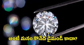 Action Thriller OTT : ఏడేళ్ళ తర్వాత తమ్ముడి చావుకి రివేంజ్... అండర్ వరల్డ్‌లో అన్న అరాచకం... ఒక్కొక్కడికీ దబిడి దిబిడే
