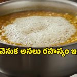 Health Tips: పప్పు వండేటప్పుడు వచ్చే నురగ అమృతమా? అనారోగ్యమా? నిపుణులు చెప్పిన షాకింగ్ ఫ్యాక్ట్స్ తెలుసుకోండి..