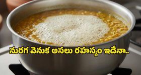 Health Tips: పప్పు వండేటప్పుడు వచ్చే నురగ అమృతమా? అనారోగ్యమా? నిపుణులు చెప్పిన షాకింగ్ ఫ్యాక్ట్స్ తెలుసుకోండి..