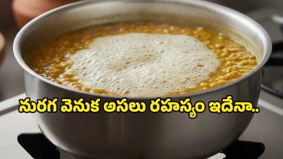 Health Tips: పప్పు వండేటప్పుడు వచ్చే నురగ అమృతమా? అనారోగ్యమా? నిపుణులు చెప్పిన షాకింగ్ ఫ్యాక్ట్స్ తెలుసుకోండి..