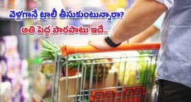 Kalvakuntla Kavitha: మండలిలో కవిత కన్నీళ్లు.. నాపై కుట్రలు చేశారంటూ భావోద్వేగం