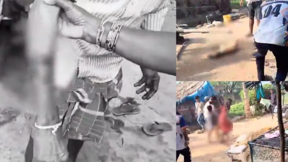 Dog Attack: ఎనిమిది మందిపై కుక్క దాడి.. కొట్టి చంపిన గ్రామస్తులు