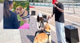 Animal love: కుక్క కోసం సాహసమే చేశారు.. అక్షరాల రూ.15లక్షలు పెట్టి ఇండియా నుంచి ఆస్ట్రేలియాకు.. వీడియో వైరల్