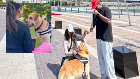 Animal love: కుక్క కోసం సాహసమే చేశారు.. అక్షరాల రూ.15లక్షలు పెట్టి ఇండియా నుంచి ఆస్ట్రేలియాకు.. వీడియో వైరల్
