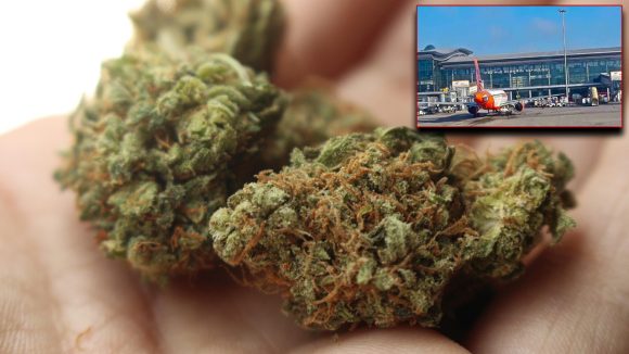 Drugs Seized: శంషాబాద్ ఎయిర్‌పోర్ట్‌లో డ్రగ్స్ కలకలం.. రూ. 9.5 కోట్ల హైడ్రోపోనిక్ గంజాయి సీజ్!