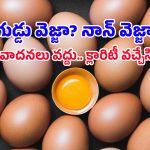 Egg Facts: కోడి లేకుండా గుడ్డు వస్తుందా? వెజ్ అని వాదించే వారి లాజిక్ ఏంటో తెలిస్తే షాక్ అవుతారు!
