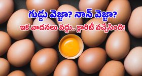 Egg Facts: కోడి లేకుండా గుడ్డు వస్తుందా? వెజ్ అని వాదించే వారి లాజిక్ ఏంటో తెలిస్తే షాక్ అవుతారు!