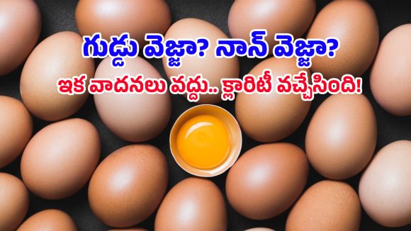 Egg Facts: కోడి లేకుండా గుడ్డు వస్తుందా? వెజ్ అని వాదించే వారి లాజిక్ ఏంటో తెలిస్తే షాక్ అవుతారు!