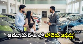 Indian snacks: ఈ ఇండియన్స్ స్నాక్స్.. ఎంత తిన్నా ఆరోగ్యానికి మంచిదే ?