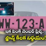 Pink Number Plates: ఫ్రాన్స్ లో కొత్తగా పింక్ నెంబర్ ప్లేట్లు, ఎందుకో తెలుసా?